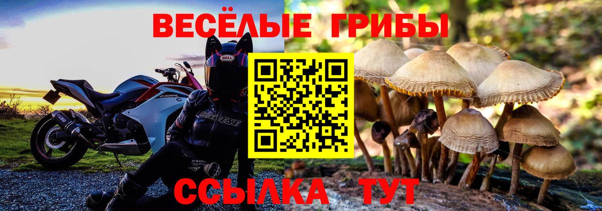 Псилоцибиновые грибы мухоморы  Вход с VPN  Кингисепп 